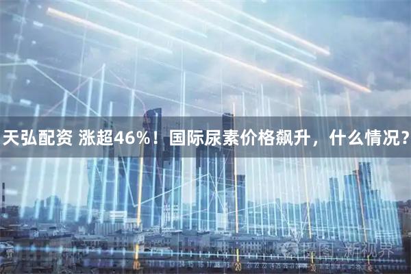 天弘配资 涨超46%！国际尿素价格飙升，什么情况？